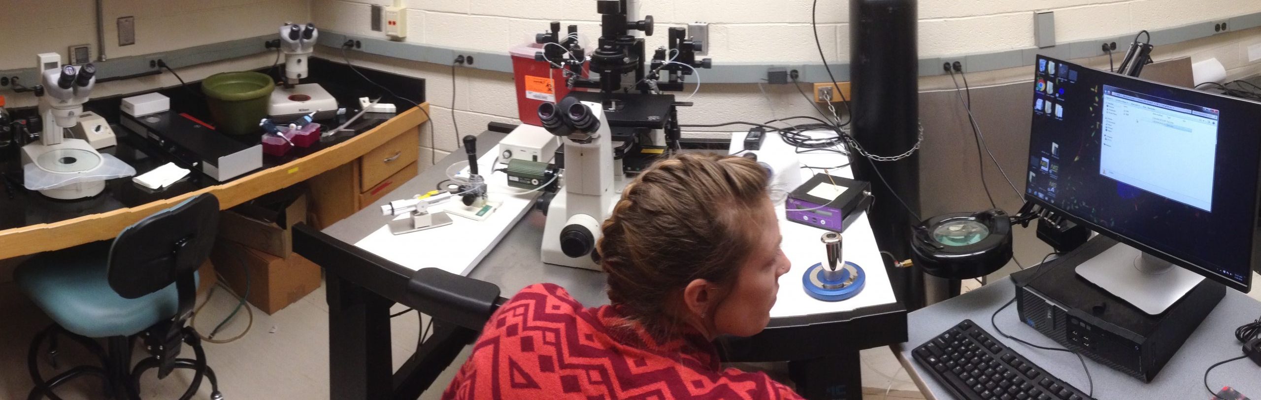 Researcher working in a lab at the WNPRC