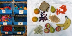 Enrichment toys, chow and snacks for rhesus macaques at the WNPRC.