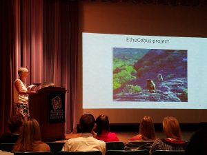 Photo of Dorothy Fragaszy and her slide showing capuchin monkeys cracking nuts with rocks.