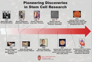 A timeline of stem cell research breakthroughs.