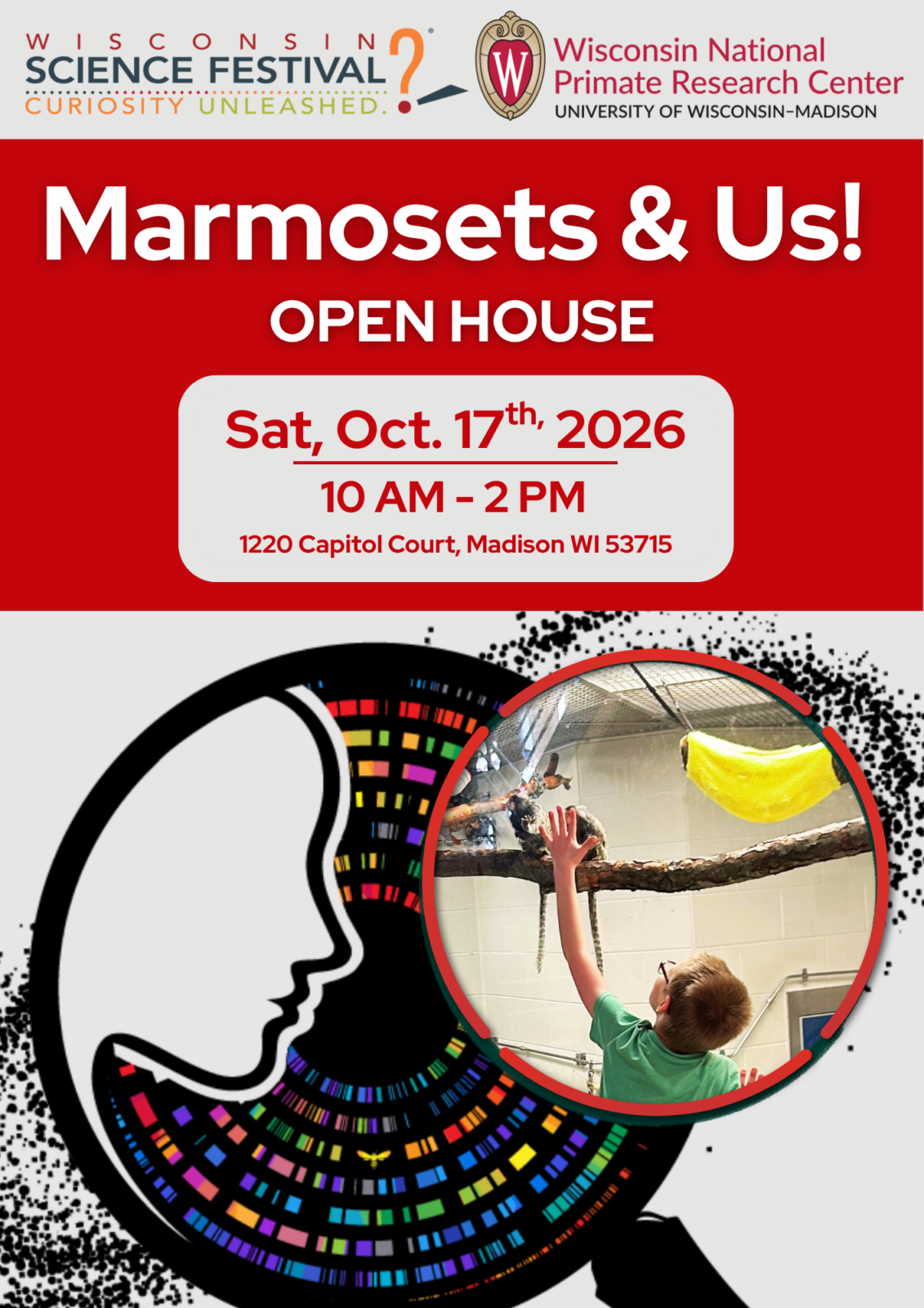 Magnifying glass shows a human silouette and a child reaching for a marmoset monkey in a vivarium.